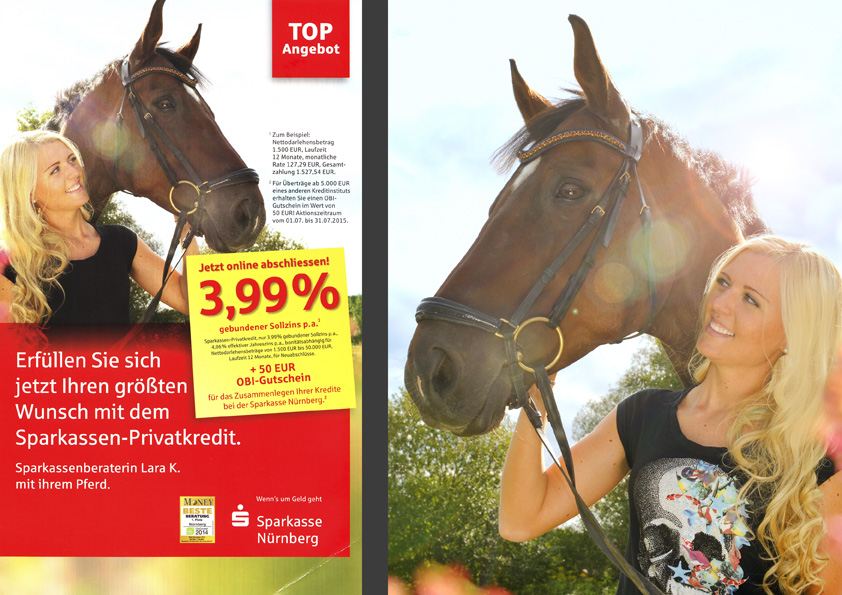 Composing FLYER Pferd